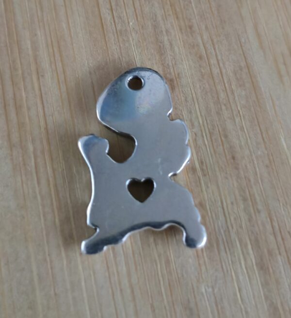 bedel nederland zilver 15 mm x 24 mm
