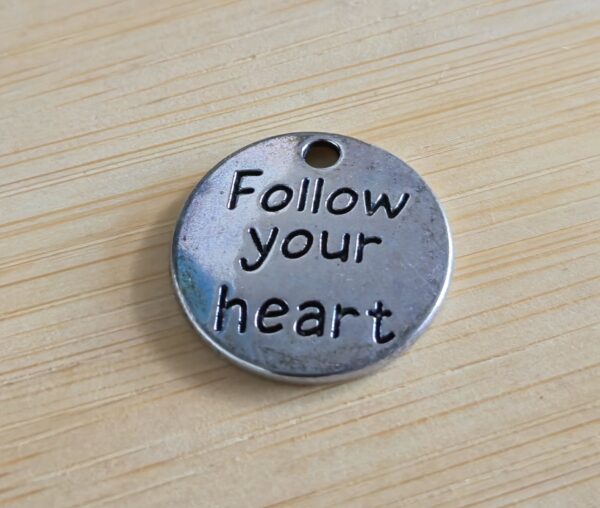 bedel follow your hart rond zilver 20 mm