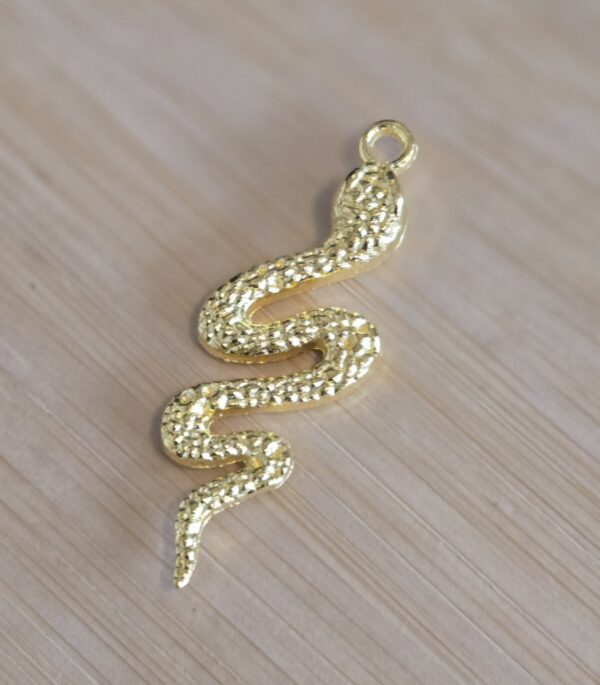 bedel DQ slang goud 41 mm x 14 mm