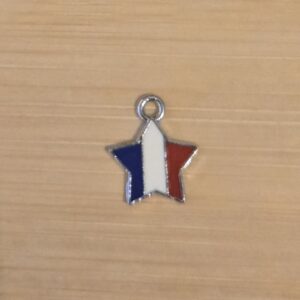 bedel ster zilver blauw wit rood emaille 14 mm x 12 mm