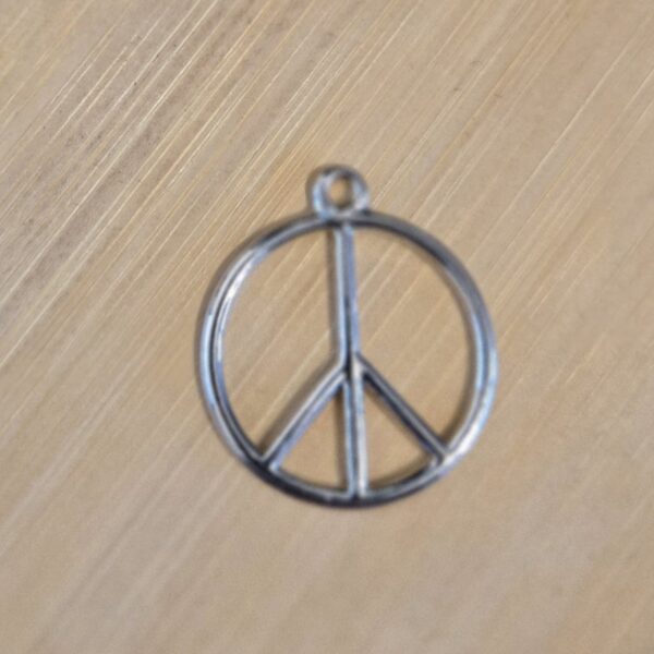 bedel zilver peace 28 mm
