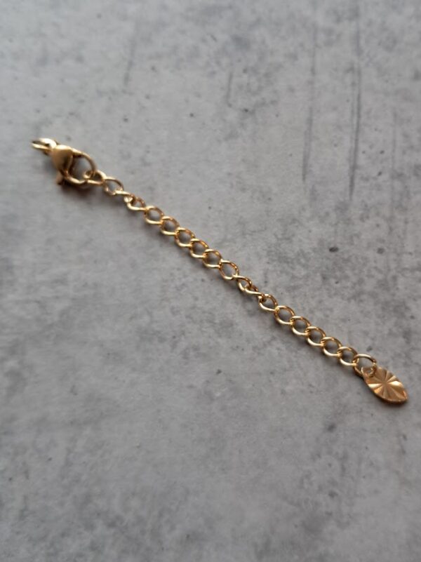 verlengketting set ovaal met karabijnslot goud 55 x 3 mm