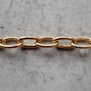 jasseron ankerketting 6 mm goud 10 cm