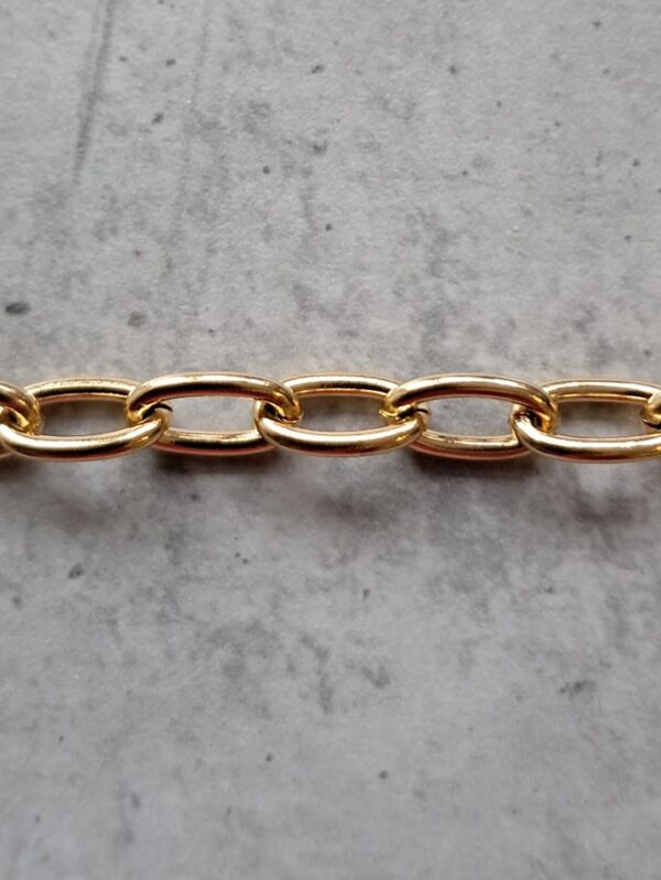 jasseron ankerketting 6 mm goud 10 cm