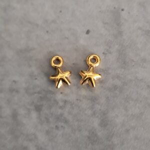 bedel goud ster (mini) 5 mm 2 stuks