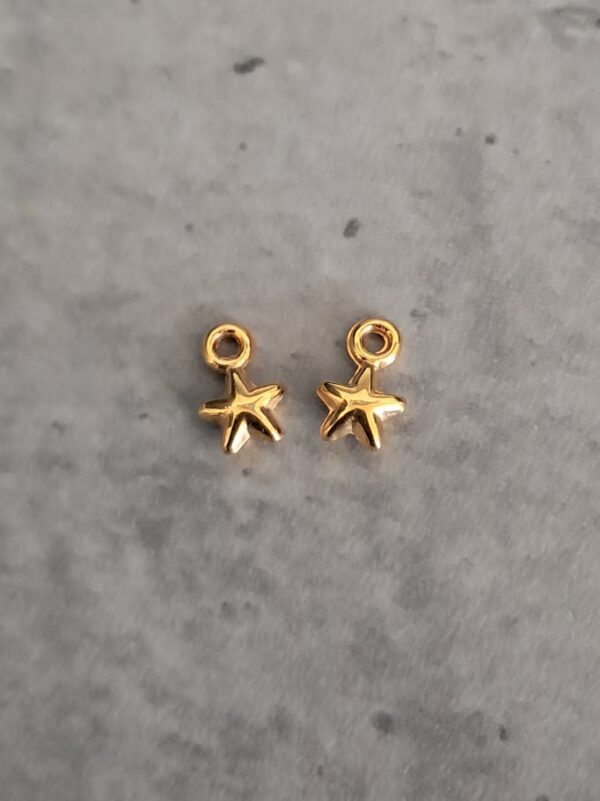 bedel goud ster (mini) 5 mm 2 stuks