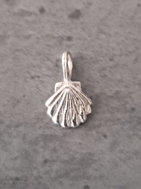 bedel sterling zilver 925 schelp 15 mm x 10 mm