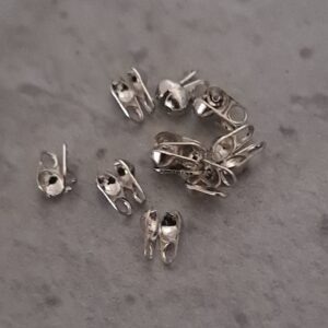 kalotjes zilver 10 stuks