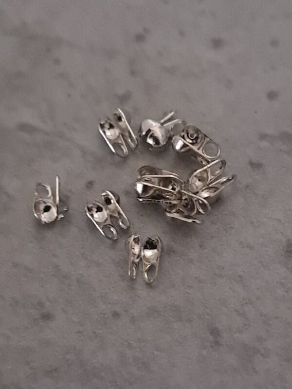 kalotjes zilver 10 stuks