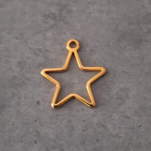 bedel goud 25 mm x 20 mm