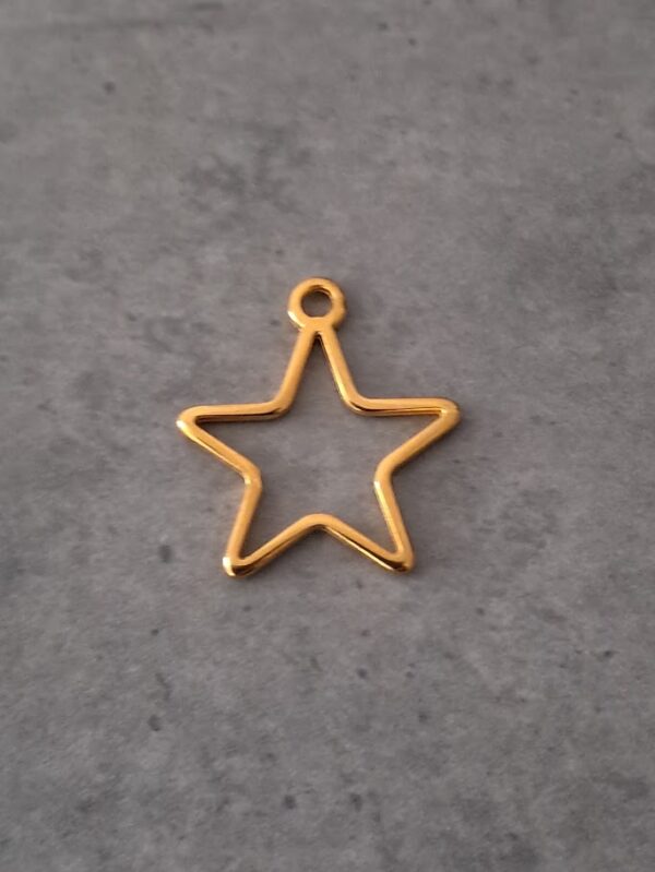 bedel goud 25 mm x 20 mm
