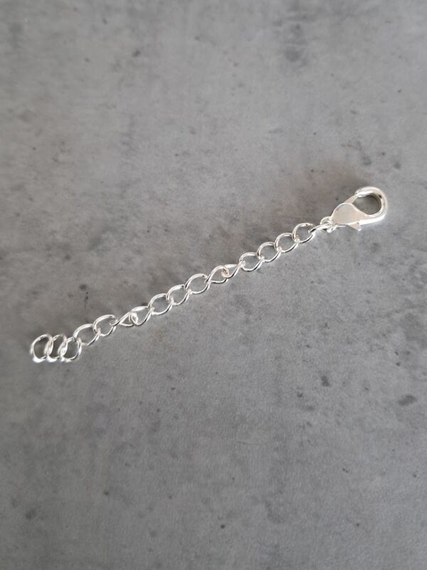 verlengketting zilver met karabijn sluiting 50 mm